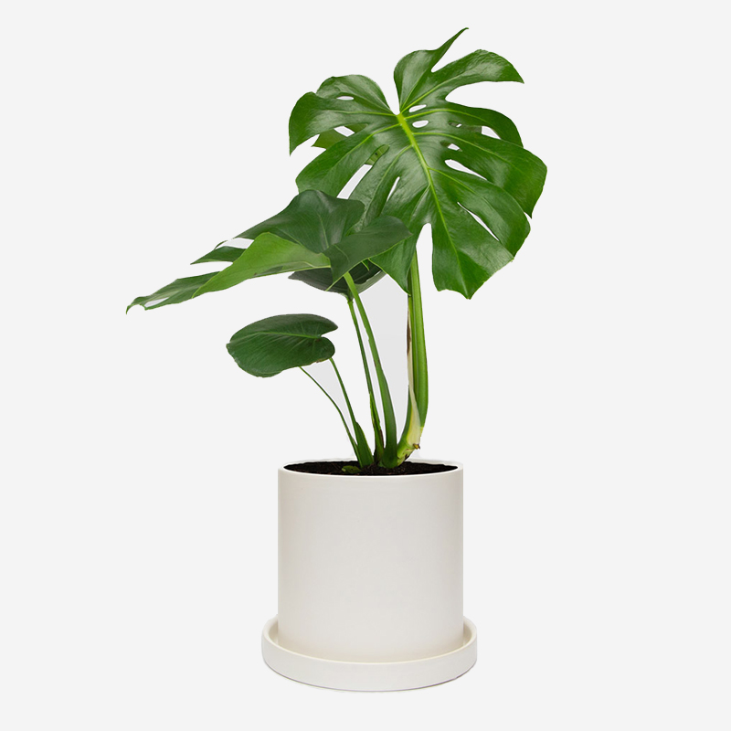 Products_imgs9